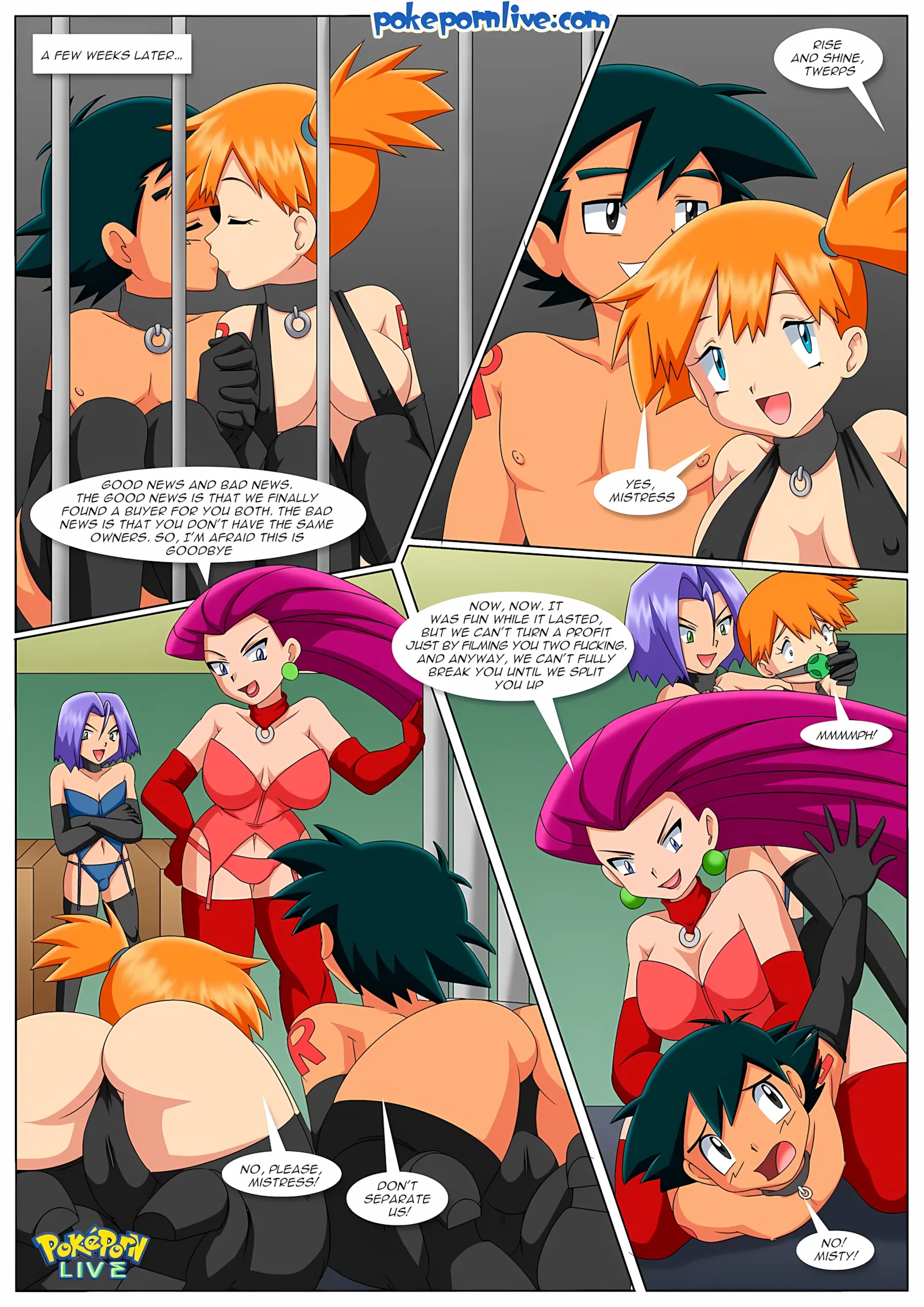 To Catch A Trainer (Pokemon) [Palcomix], 1 . To Catch A Trainer - (Pokemon) [Palcomix], page 18 of 23